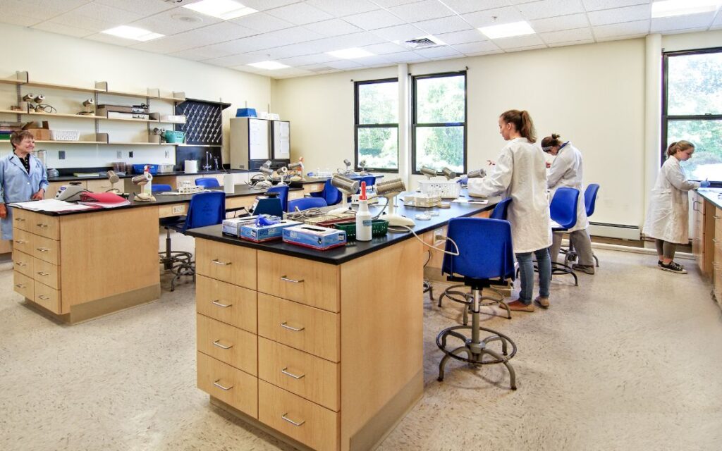 Kiểm tra kim cương ở đâu